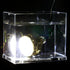 1PCS 27W Blue Light Waterproof LED Drain Plug Light  For Marine