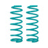 DOBINSONS COIL SPRING PAIR (C09-044)