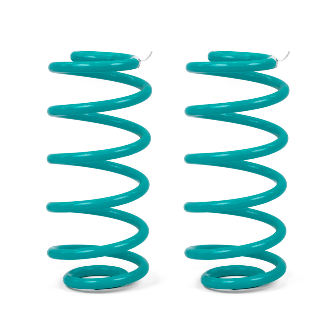DOBINSONS COIL SPRING PAIR (C09-045)