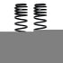 20-22 Jeep Gladiator JT Mojave 3.0 Inch Rear Dual Rate Long Travel Coil Springs Pair Skyjacker