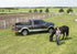 Photo - lifestyle view