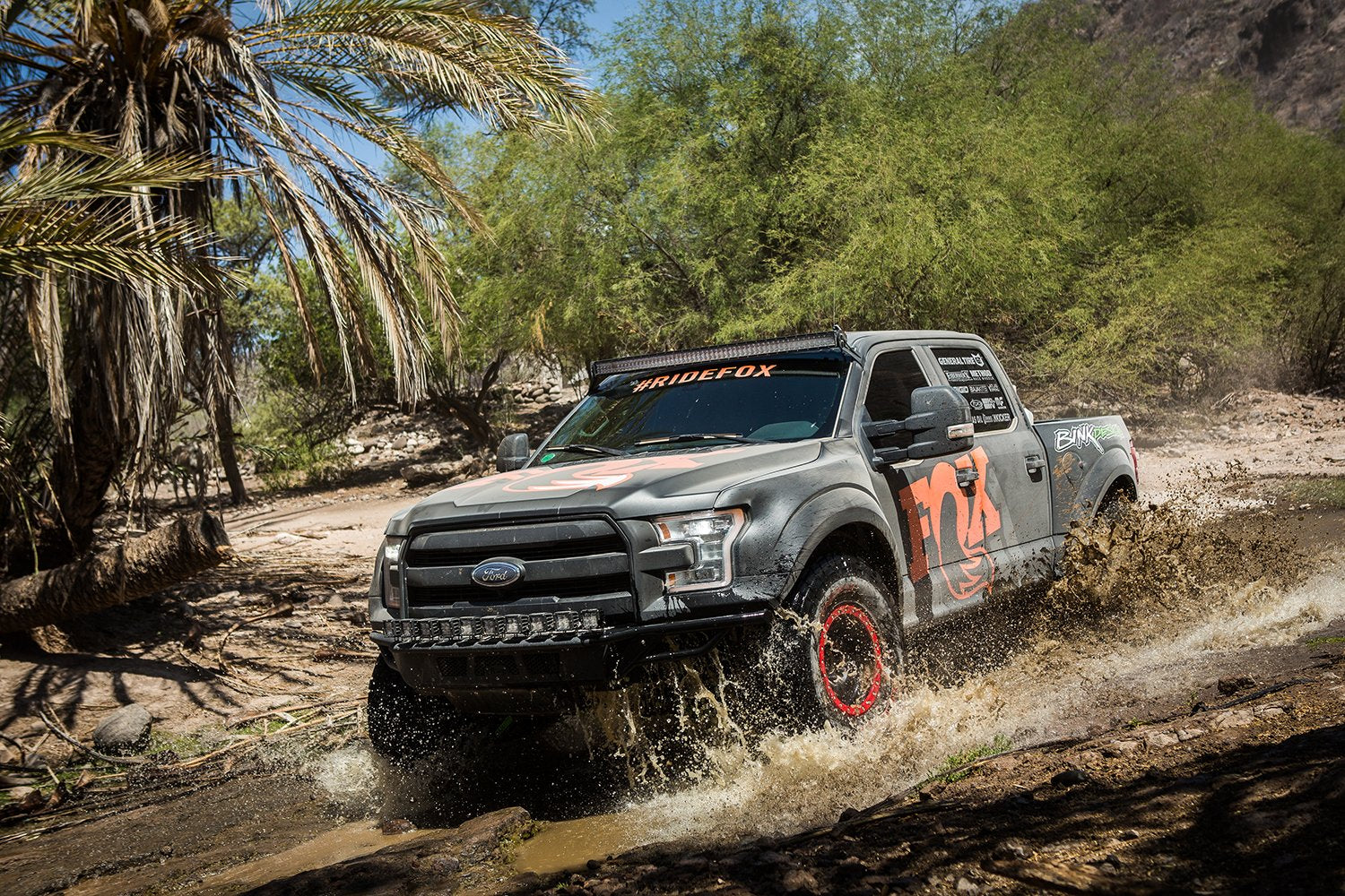 fox-stock-photo-f150-ls-d.tif