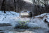 polaris_rzr_ss30_flood-creek-2.jpg